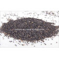 High Quality Sesamin CAS No 607-80-7 Black Sesame Extract